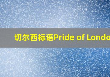 切尔西标语Pride of London